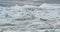 Iceberg and ice from glacier in arctic nature landscape on Greenland