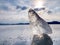 Iceberg or ice piece on large floe. Sharp ice that has broken off glacier