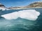 Iceberg from an inland glacier