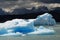 Iceberg in lake Argentino near Upsala glacier.