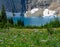 Iceberg Lake Behind Wildflowers in Montana