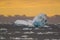 Iceberg, landscape, Antarctica