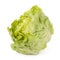 Iceberg lettuce bunch isolated