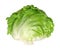 Iceberg lettuce, or crisphead, isolated, front view, on white background