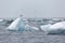 Iceberg melting at sea