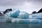 Iceberg in the Nordvest-Spitsbergen National Park