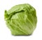 Iceberg salad - head of lettuce