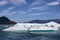 Iceberg from Sawyer glacier in Tracy Arm fjord