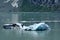 Iceberg from Tidewater Margerie Glacier, Alaska