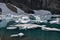 Iceberg Trail in Glacier National Park, Montana, USA