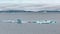 Icebergs with Adelie penguins upside in Antarctic Ocean near Paulet Island Antarctica.