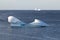 Icebergs along the Avalon Peninsula, Newfoundland