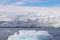 Icebergs. Antarctica ice landscape, climate change. Extreme expedition.