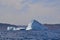 Icebergs in bay outside St. John\\\'s with the Narrows and Signal Hill on the horizon