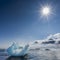 Icebergs on the beach