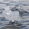 Icebergs on the beach