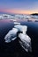 Icebergs beached on jokulsarlon lagoon in Iceland