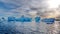 Icebergs floating in Cierva Cove under sunlight