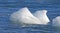 Icebergs floating at diamond beach, Jokulsarlon