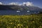 Icebergs floating in fjords of Greenland. Narsarsuaq