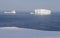 Icebergs at Goose Cove Newfoundland