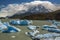 Icebergs in Grey Lake - Patagonia - Chile