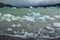 Icebergs in Grey Lake - Patagonia - Chile