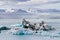 Icebergs in Jokulsarlon glacial lagoon, Iceland