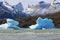 Icebergs in Lake Grey. Torres del Paine National Park. Patagonia. Chile