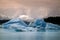 Icebergs from the Leconte Glacier
