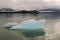 Icebergs from the Leconte Glacier