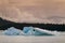 Icebergs from the Leconte Glacier