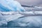 Icebergs melting in antarctic waters