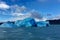 Icebergs in the milky waters of Lake Argentino