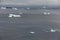Icebergs near Fogo Island