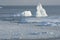 Icebergs near the island.