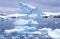 Icebergs in Paradise Harbor, Antarctica