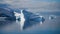 Icebergs reflecting in the calm Paradise Bay in Antarctica.