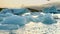 Icebergs and seal floating in Ice Lagoon Jokulsarlon Glacier Lagoon in Iceland