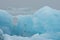 Icebergs stranded on the beach near Jokulsarlon, South-east Iceland