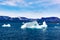 Icebergs in sunlight shining in white and turquoise over dark blue Arctic Ocean, Greenland