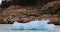 Icebergs in the water, the glacier Perito Moreno. Argentina.