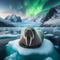 Icebound Monarch - Walrus Sovereignty