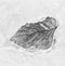 Iced Birch Leaf Monochrome