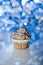 Iced cupcake with cool freezing blue background