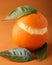 Iced orange sorbet