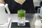 Iced pure matcha green tea - Pouring green tea into a glass of water on the table