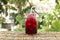 Iced roselle juice