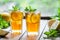 Iced tea with lemon slices and mint on wooden table with a view to the terrace and trees. Close up summer beverage