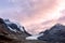 Icefield and glaciers